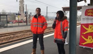 La plus grande grue française pour poser la passerelle de Lisieux