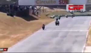 Bagarre entre deux pilotes de Superbike