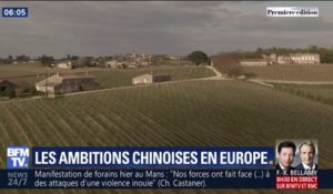 Domaines viticoles, secteur médical... Les Chinois investissent massivement en Europe