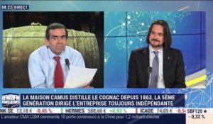 Cognac: le marché dégage un chiffre d'affaires de 3,2 milliards d'euros - 26/03