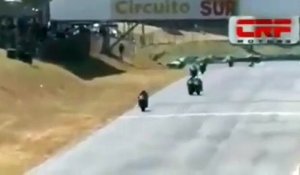 Moto : Deux pilotes se battent en pleine course !
