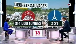 Environnement : déchets sauvages en France, un phénomène d'ampleur