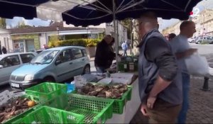 Charentes : deuxième séisme en trois semaines
