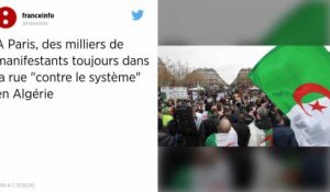 A Paris, des milliers de manifestants toujours dans la rue "contre le système" en Algérie