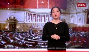 Office français de la biodiversité : audition d'Emmanuelle Wargon - Les matins du Sénat (09/04/2019)