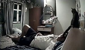 Il installe une caméra chez lui pour voir ce que son chat fait alors qu'il dormait