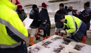 Brexit : les pêcheurs écossais se sentent oubliés