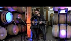 ONE ON ONE: Chris Seefried - Purple Rain January 2nd,2017 City Winery New York