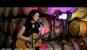 ONE ON ONE: Orly Bendavid - True Blue May 26th, 2017 City Winery New York