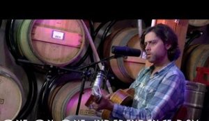 ONE ON ONE: David Berkeley - Independence Day April 21st, 2017 City Winery New York