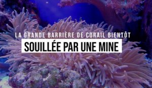 Un désastre validé par l'Australie : la Grande barrière de corail bientôt souillée par une mine