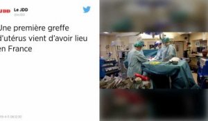 Première greffe d'utérus en France : un don d'organe entre une mère et sa fille