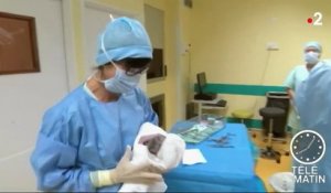 Une greffe d'utérus réussie pour la première fois en France