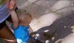 Un singe vole une bouteille à un petit garçon