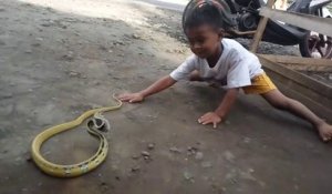 Cet Enfant Joue Avec Un Serpent Tres Agressif Sur Orange Videos