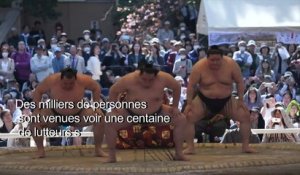 Festival annuel de sumo au sanctuaire de Yasukuni à Tokyo