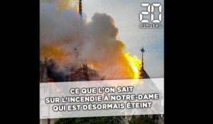 Incendie à Notre-Dame de Paris: Ce que l'on sait sur le sinistre, qui est désormais éteint