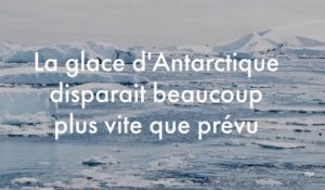 La glace d'Antarctique disparait beaucoup plus vite que prévu