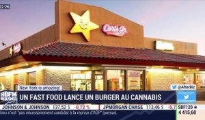 New York is amazing: Un fast food lance un burger au cannabis - 18/04