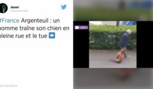 Val-d’Oise. Un homme interpellé après avoir traîné et tué son chien en pleine rue