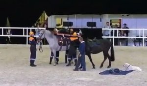 Transport de blessé à cheval