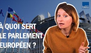 A quoi sert le Parlement européen ?