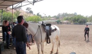 Un cheval aide une cavalière