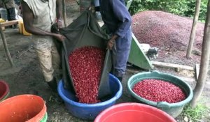 RDC: l'île d'Idjwi, la petite perle des Grands lacs