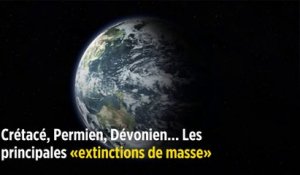 Crétacé, Permien, Dévonien... Les principales « extinctions de masse »