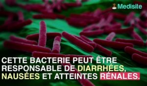 13 enfants hospitalisés après le rappel de fromages contaminés