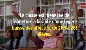 Isère : pour éviter une fermeture de classe, 15 moutons inscrits à l'école