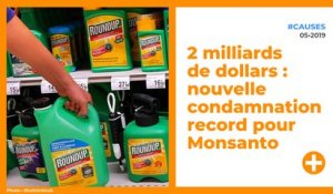 2 milliards de dollars : nouvelle condamnation record pour Monsanto.