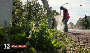 Poitiers : des espaces verts sans pesticides