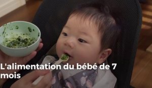L'alimentation du bébé de 7 mois