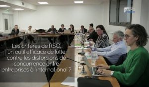 Questions à Rita FAHD (FNE) - RSO - cese