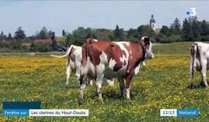 Artisanat : le secret des clarines du Haut-Doubs