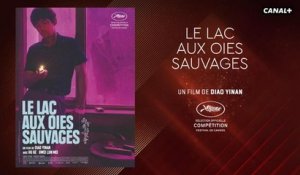 Le Lac aux Oies Sauvages - Le Petit Cercle - Cannes 2019