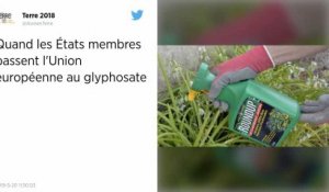 Quand les États membres passent l'Union européenne au glyphosate