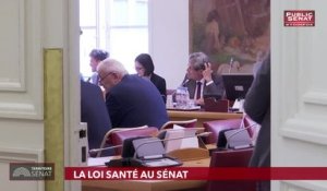 Invité : Vincent Delahaye - Territoire Sénat (23/05/2019)