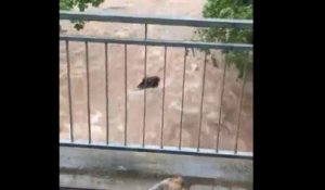 Pluies diluviennes et inondations importantes en Allemagne