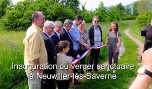 Neuwiller-lès-Saverne : inauguration d'un verger sanctuaire