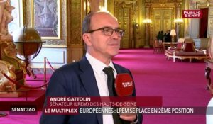 « La vraie marque, c’est Emmanuel Macron », analyse André Gattolin (LREM)
