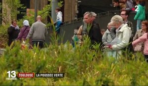 Élections européennes : les Verts obtiennent plus de 20% des voix à Toulouse