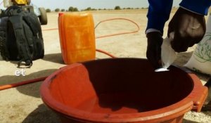 Sénégal : à la découverte de "la reine du sel"