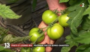 Tomates bio : des maraîchers s'opposent à la production sous serres chauffées