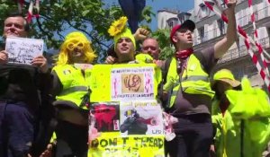 "Gilets jaunes": une faible mobilisation pour le 29e samedi