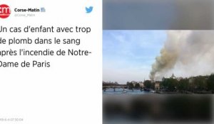 Incendie de Notre-Dame. Un cas d’enfant avec trop de plomb dans le sang, un appel au dépistage lancé