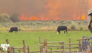 Un impressionnant incendie menace la ville de Spokane dans le Nord-Ouest des États-Unis