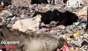 En Inde, une montagne de déchets dépassera bientôt le Taj Mahal