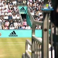 ATP/WTA - Après la terre, le gazon: à suivre sur Tennis Actu
